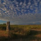 wolkenwiese ...