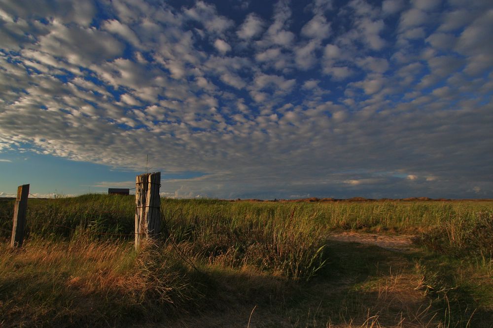 wolkenwiese ...