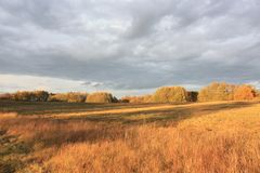 Wolkenwiese