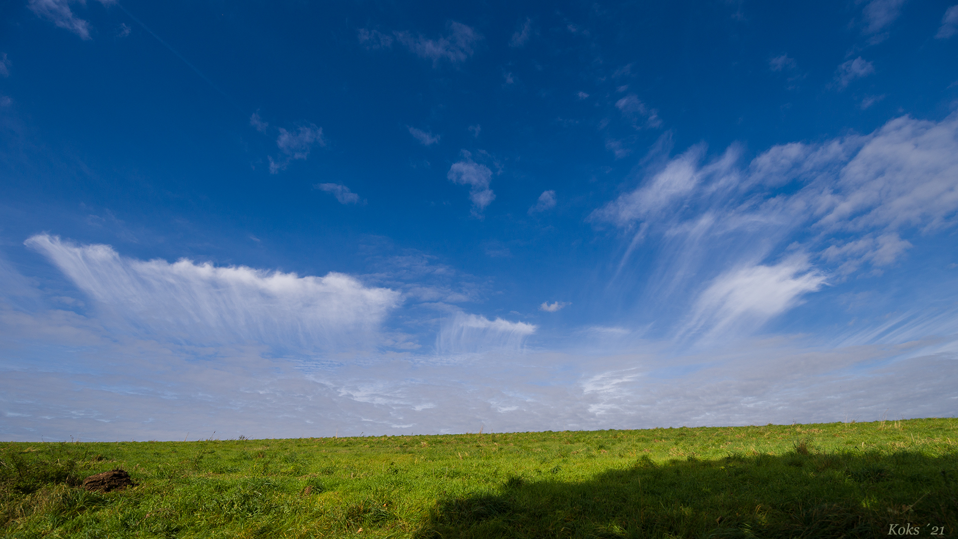 Wolkenwisch