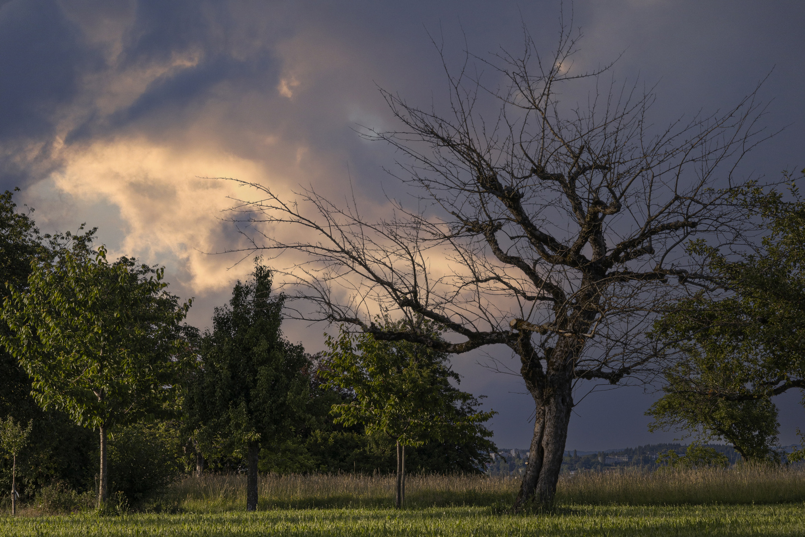 Wolkenzauber