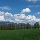 Wolkenzauber am Jura