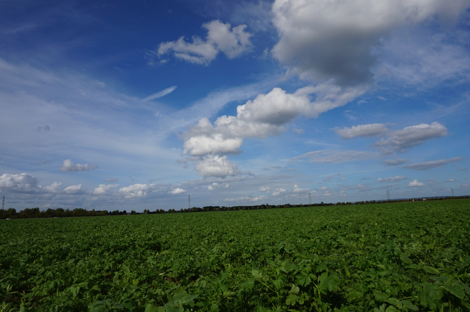 Wolkenzopf