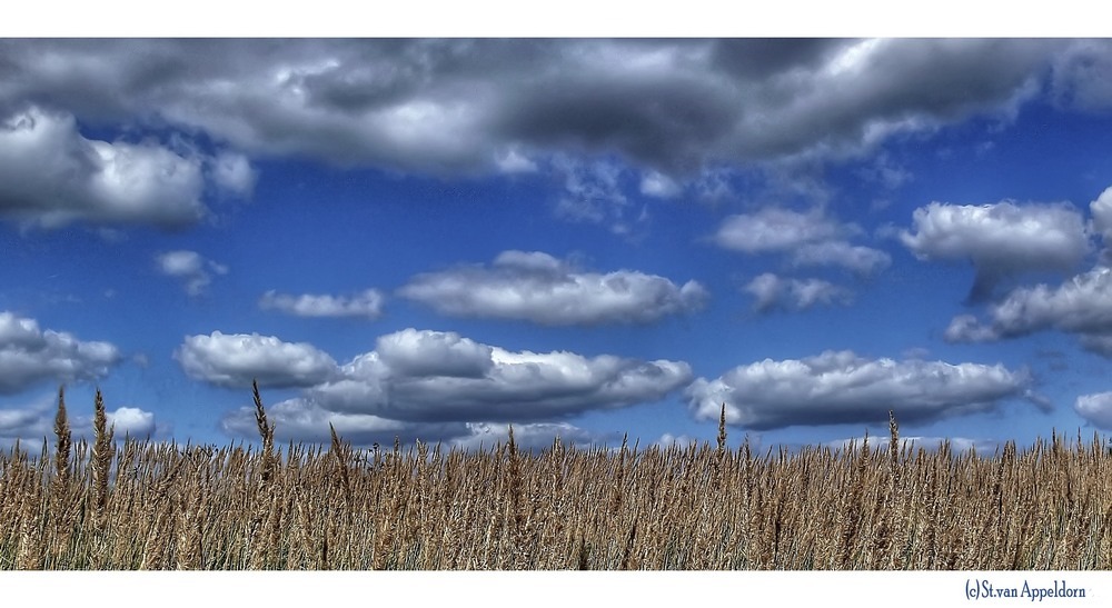 Wolkenzug...