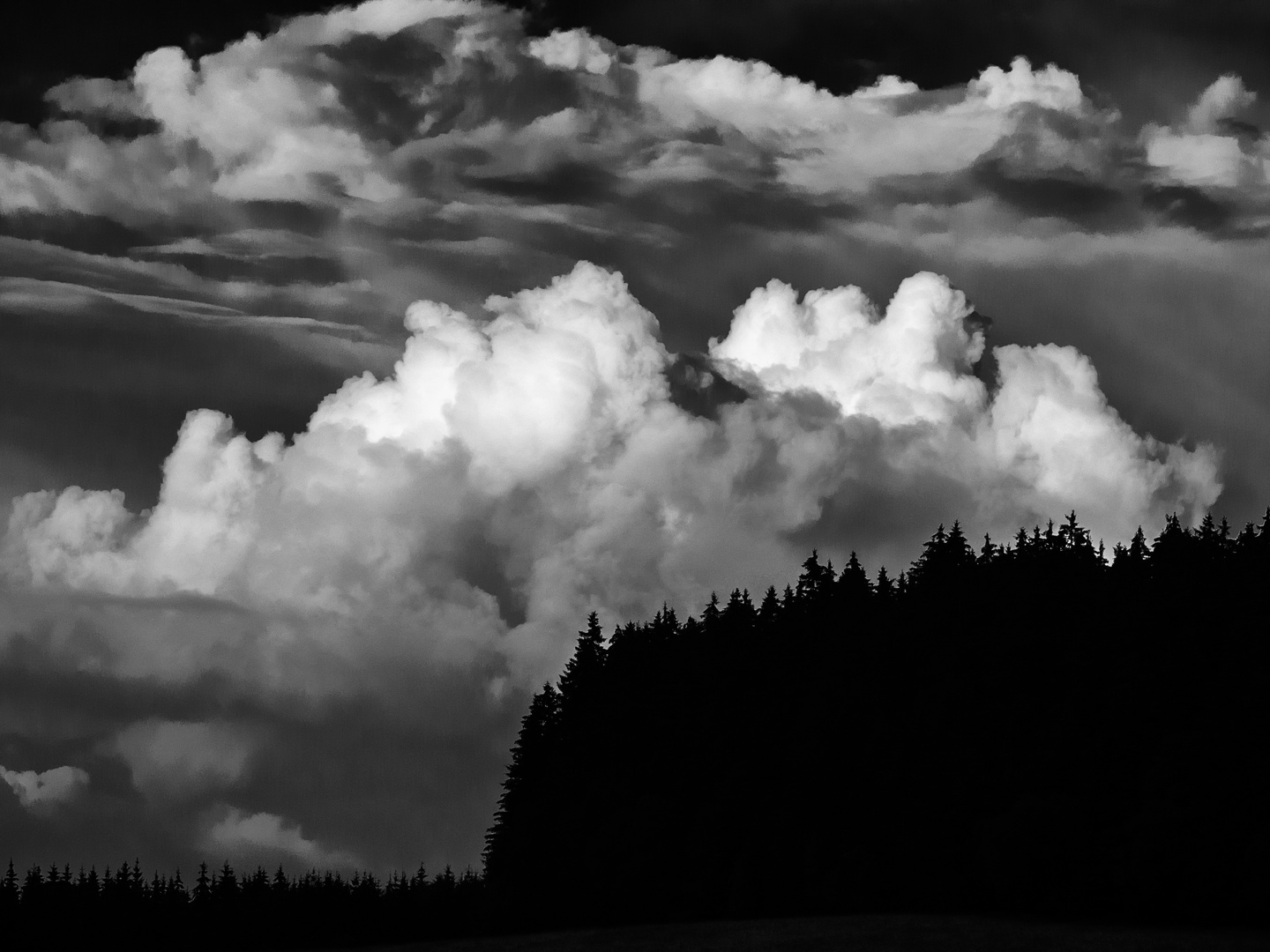 Wolkenzug im Südschwarzwald 1