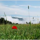 Wolkig im Tal - sonnig am Berg...