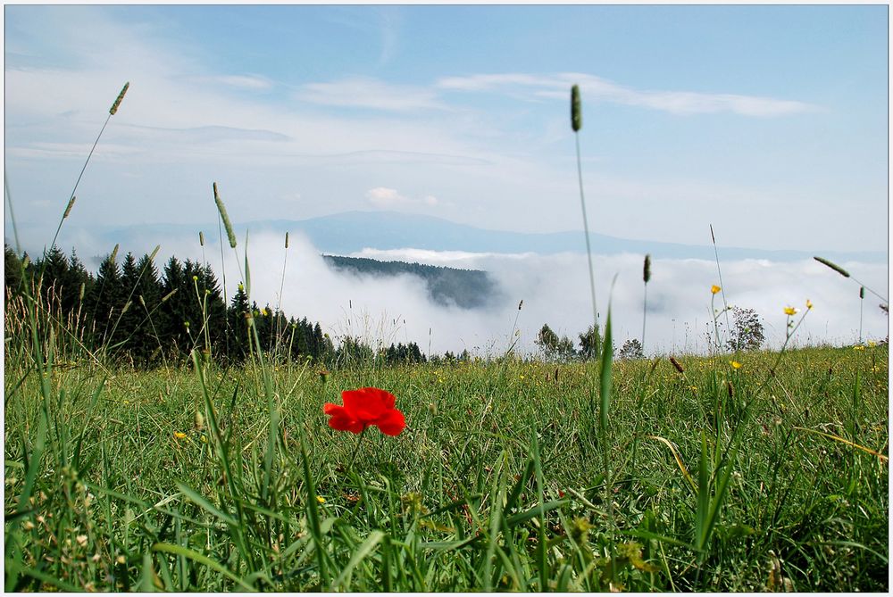 Wolkig im Tal - sonnig am Berg...