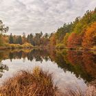 Wolkig mit Herbstfarben