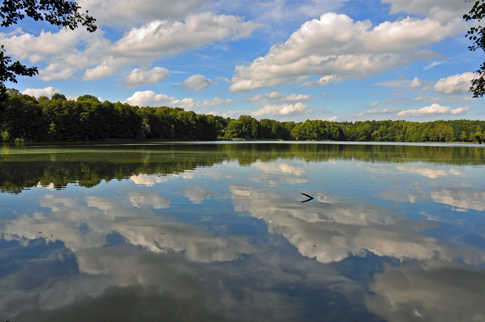 Wolkige Welten 2