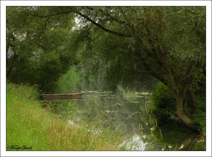 Wolkiger Sommertag am Rheinufer