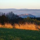 Wollaberg bei Waldkirchen