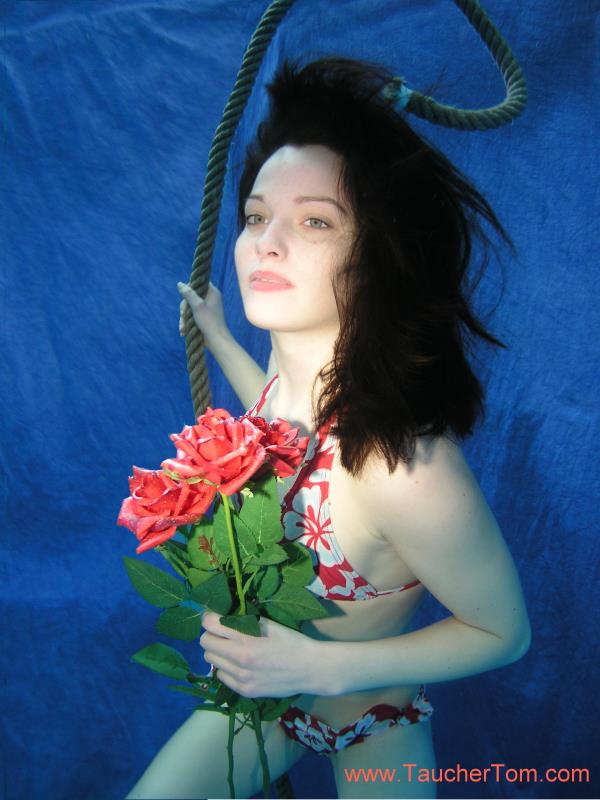 Rose Kaufen Rose Kaufen
