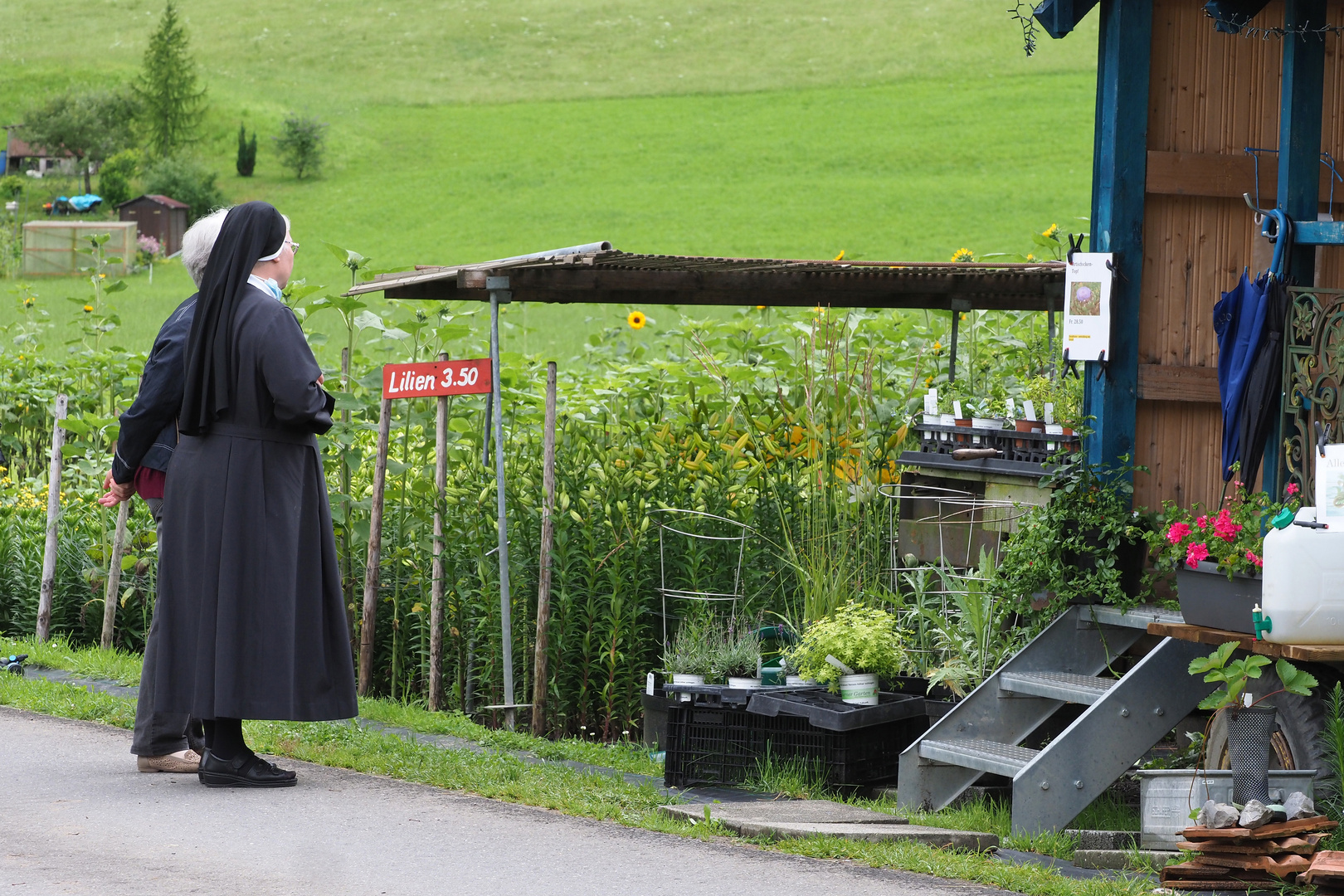 wollen wir lilien nehmen ?