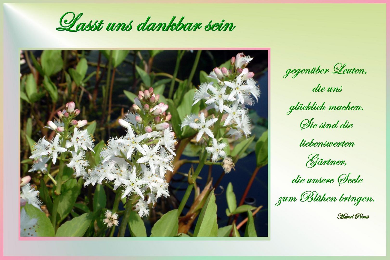 Wollen Wir Unseren Leuten Mal Wieder Danke Sagen Foto Bild Karten Und Kalender Karten Spezial Bilder Auf Fotocommunity
