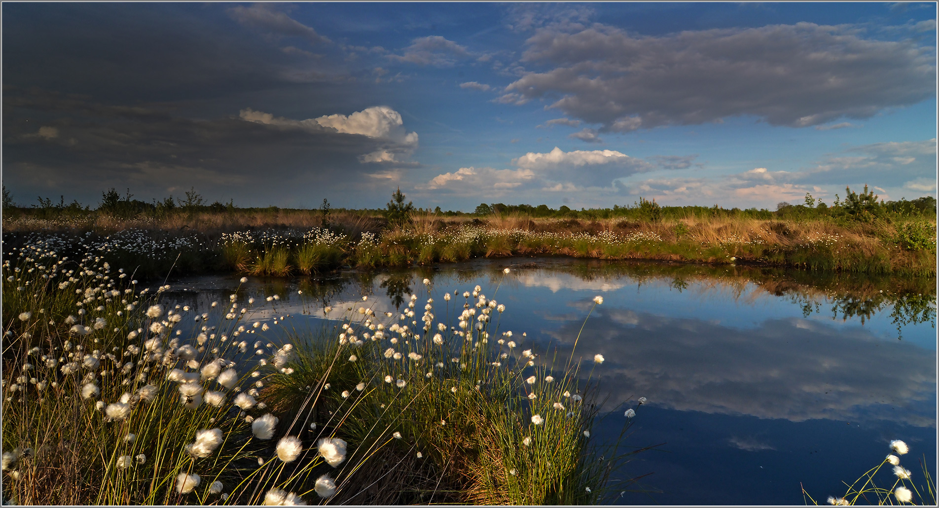 Wollgras und Wolken laden ein   . . .