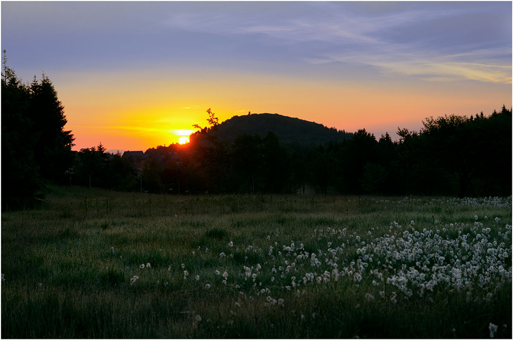 Wollgraswiese und Sonnenaufgang Geisingberg