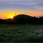 Wollgraswiese und Sonnenaufgang Geisingberg