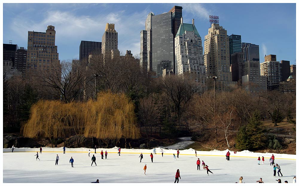 Wollman Rink