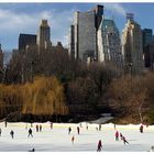 Wollman Rink