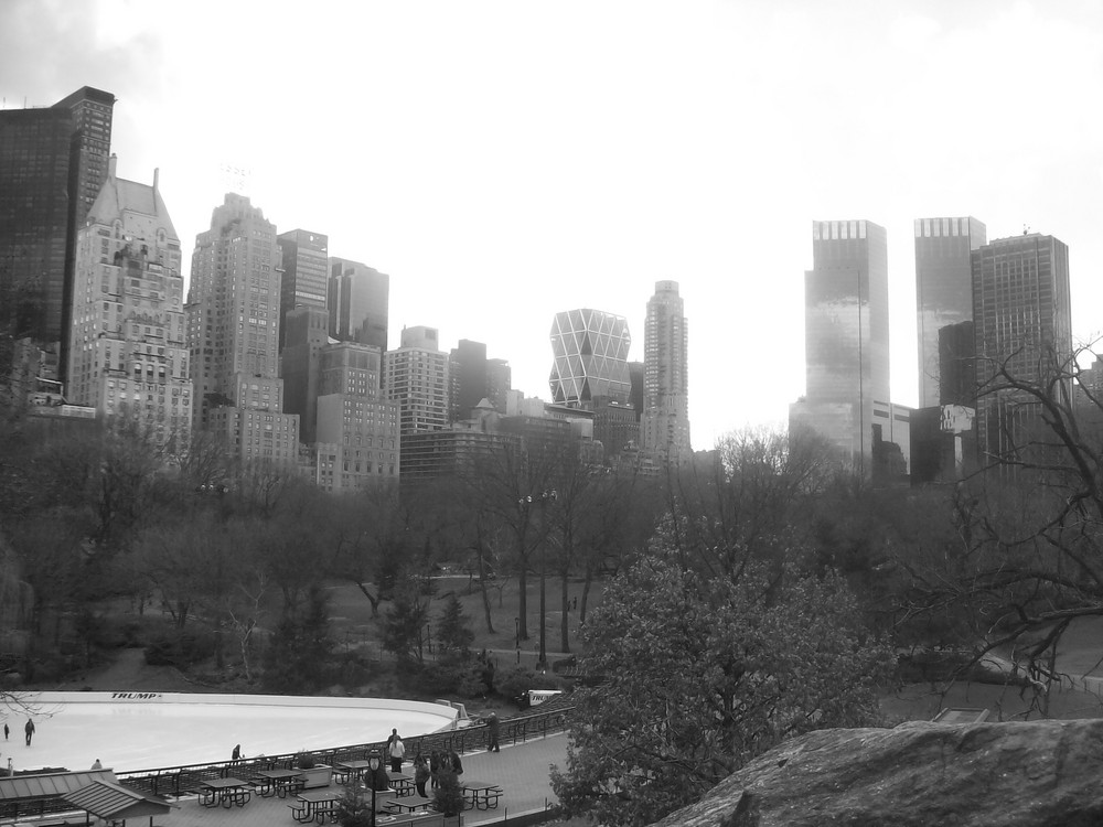 Wollman rink