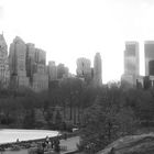 Wollman rink