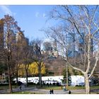 Wollman Rink