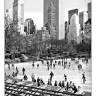 Wollman Rink