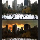 wollman rink - central park - nyc