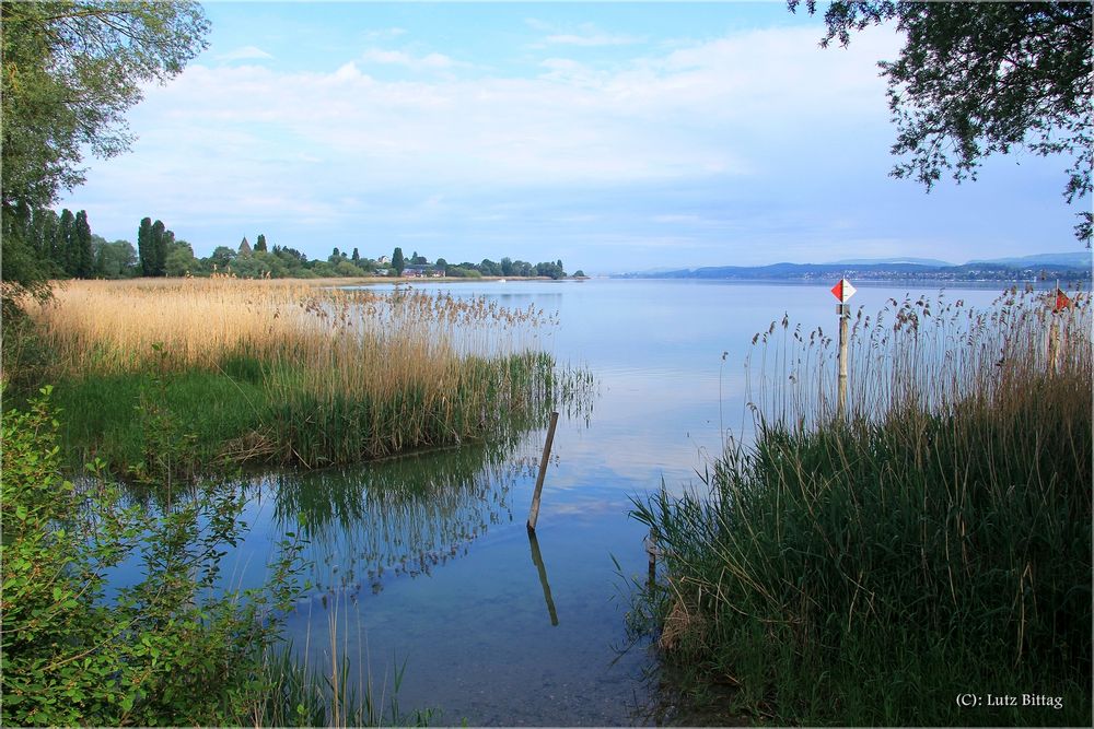 Wollmatinger Ried Foto & Bild | urlaub, world, wasser Bilder auf
