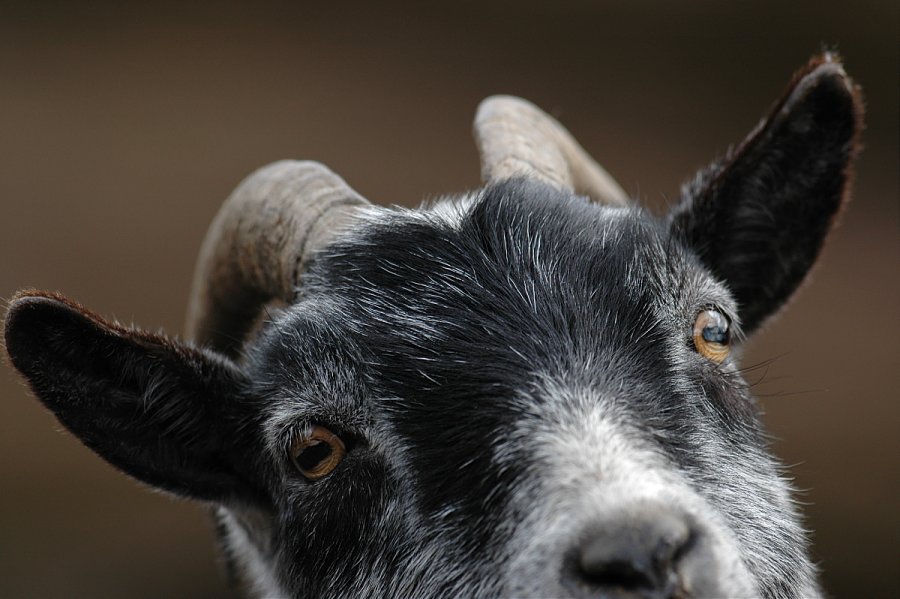 Wollte Nur Mal Reinschauen Wie Es Bei Dir Aussieht Foto Bild Quatsch Fun Und Ratselecke Humorvolle Bilder Mit Texten Spezial Bilder Auf Fotocommunity