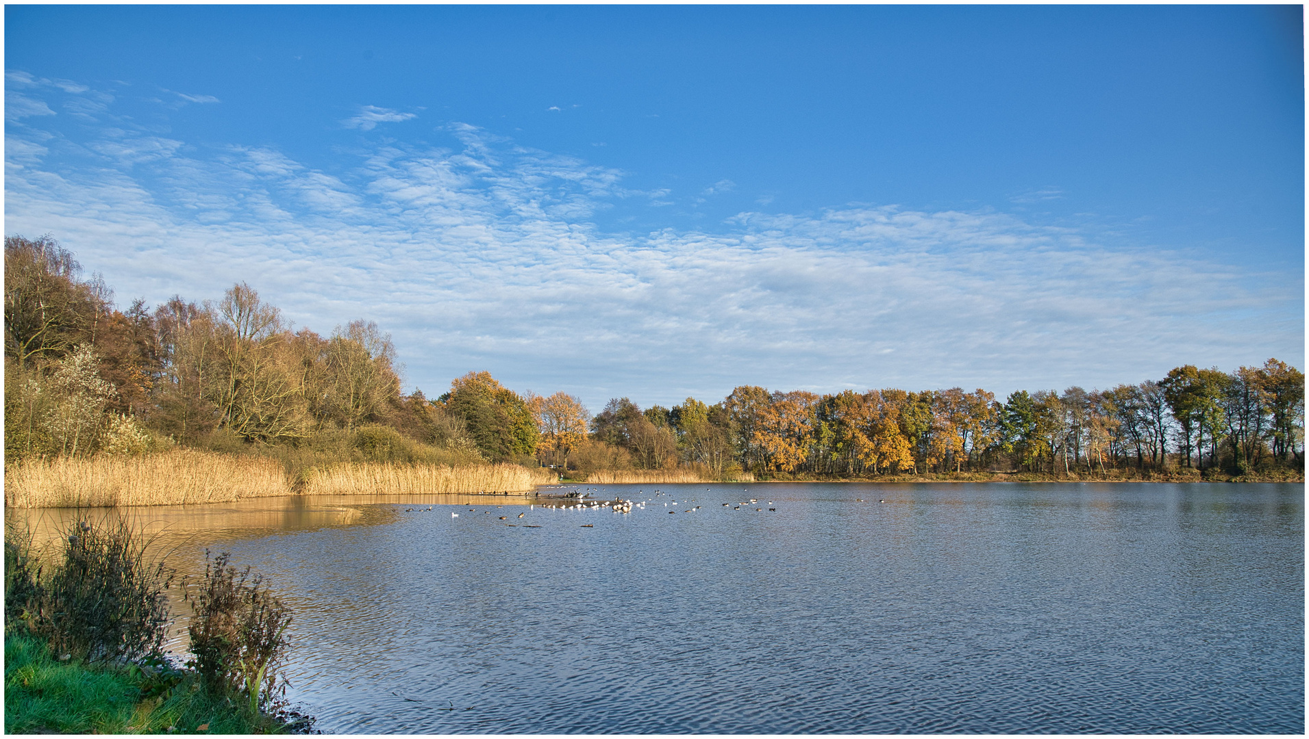 Wolny See Pinneberg