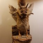 Wolpertinger