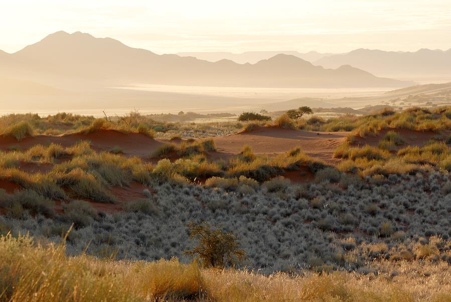 Wolwedans Dune Camp Aussicht am Morgen