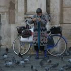 woman and pigeons