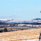 Woman in Winter Landscape