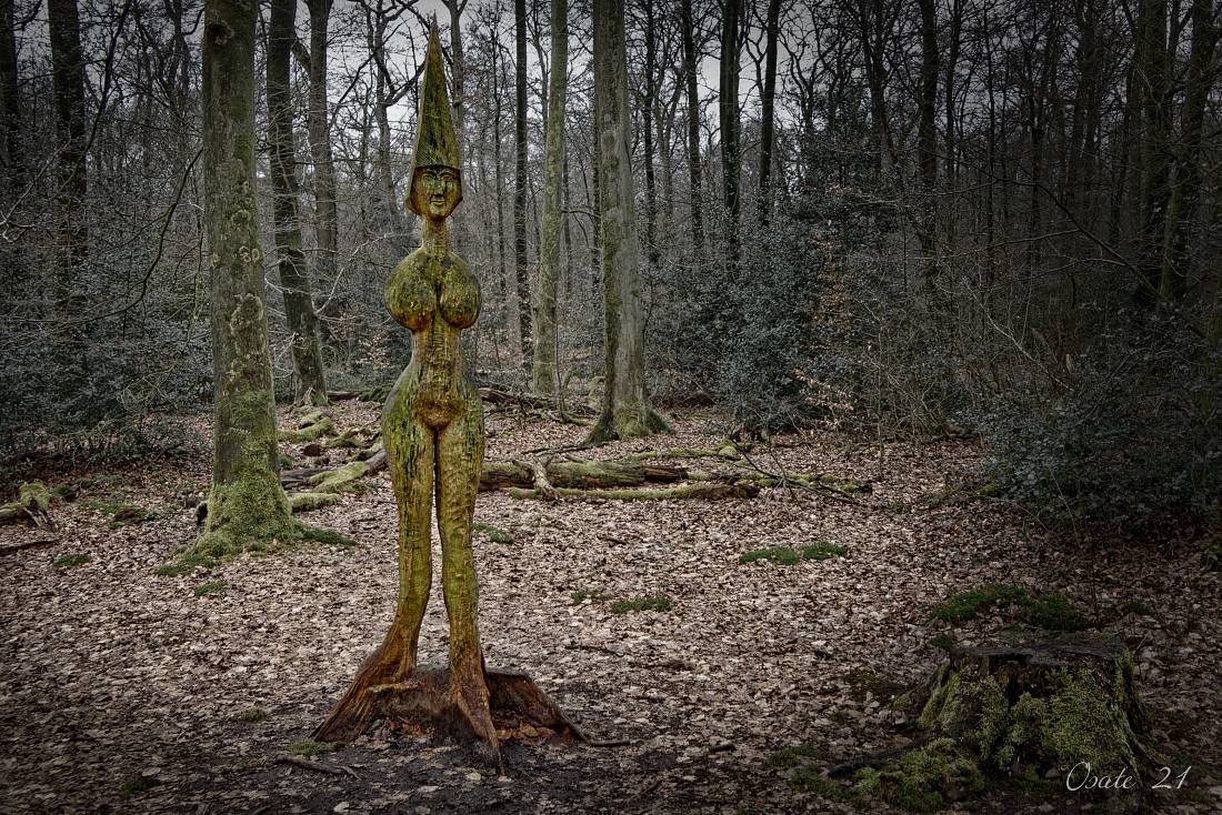 woman in wood...