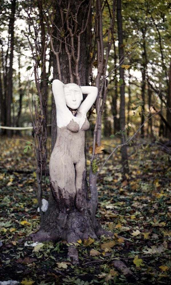 Woman is growing out a tree