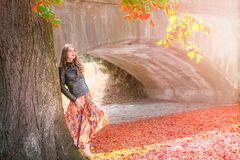 Woman leaning on a tree in autumn colors