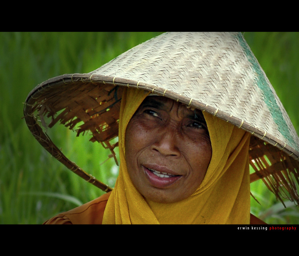 Woman on ricefield