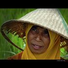 Woman on ricefield