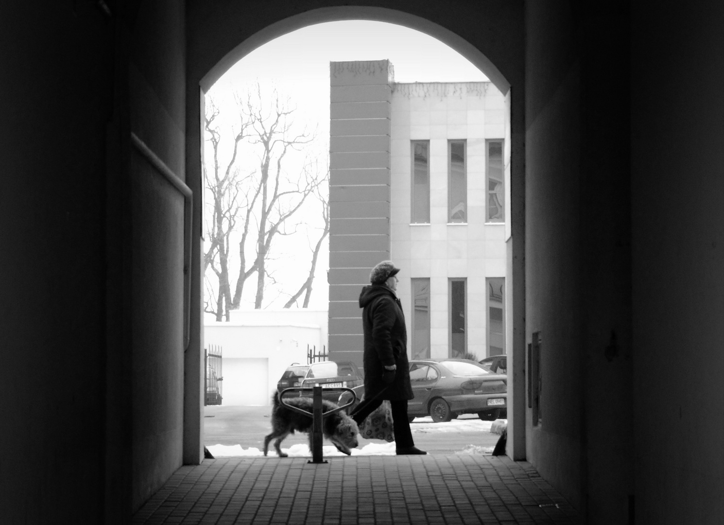 Woman with dog.