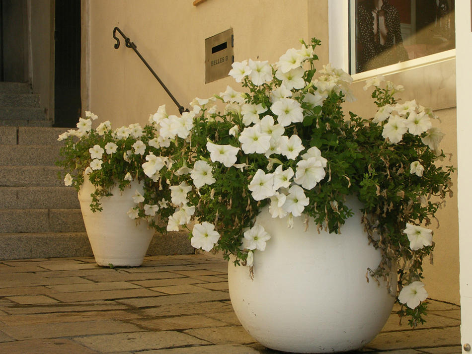 Woman with flowers