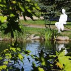 woman with sunglasses on bench