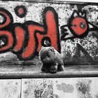 Wombat meets Grafitti 4