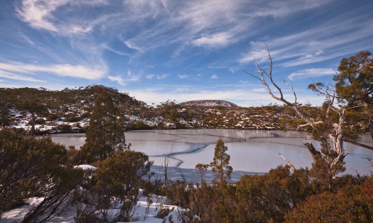 Wombat Pool