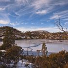 Wombat Pool