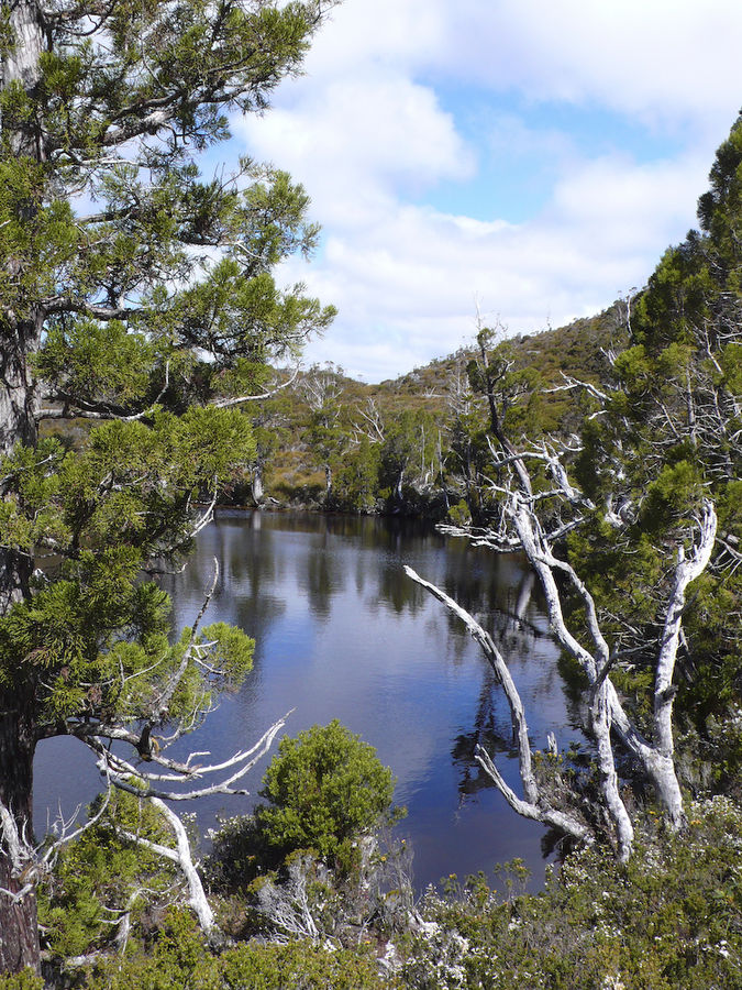 Wombat Pool