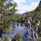 Wombat Pool