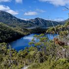 Wombat Pool Track im Cradle-Mountain-NP (Tasmanien)