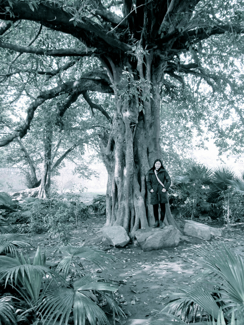 Women & Tree